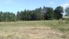 IMG_20190906_112805[12815]
